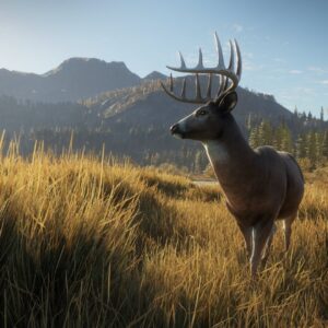 theHunter: Call of the Wild - PlayStation 4