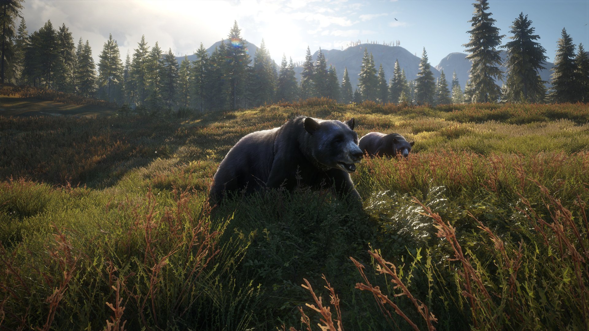 theHunter: Call of the Wild - PlayStation 4