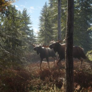 theHunter: Call of the Wild - PlayStation 4