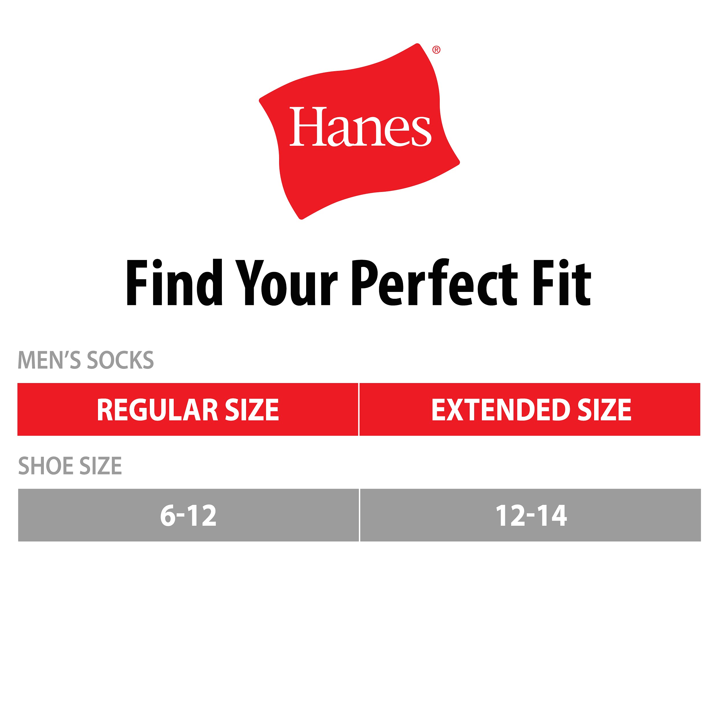 Hanes mens X-temp Cushioned Ankle Socks, 12-pair Pack Casual Sock, Black, 6 12 US