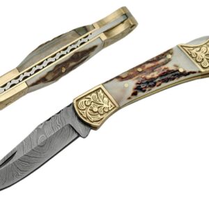 SZCO Supplies DM-1163 Damascus Steel Fancy Folding Knife with Stag Handle Damascus Steel Knife