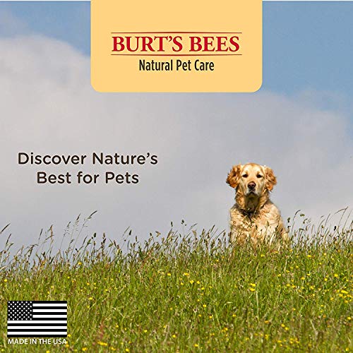 Burt's Bees for Dogs Natural Oatmeal Dog Shampoo with Colloidal Oat Flour & Honey | Moisturizing Oatmeal Dog Shampoo | Cruelty Free, Sulfate & Paraben Free, pH Balanced for Dogs -16 Oz 2 Pack