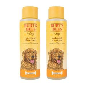 burt's bees for dogs natural oatmeal dog shampoo with colloidal oat flour & honey | moisturizing oatmeal dog shampoo | cruelty free, sulfate & paraben free, ph balanced for dogs -16 oz 2 pack