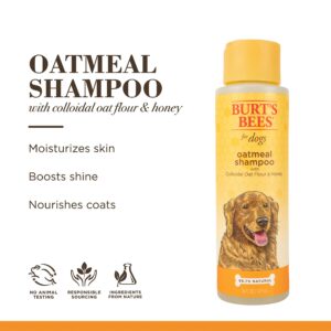 Burt's Bees for Dogs Natural Oatmeal Dog Shampoo with Colloidal Oat Flour & Honey | Moisturizing Oatmeal Dog Shampoo | Cruelty Free, Sulfate & Paraben Free, pH Balanced for Dogs -16 Oz 2 Pack