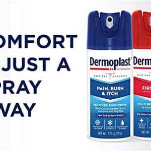 Dermoplast Pain, Burn & Itch Relief Spray for Minor Cuts, Burns and Bug Bites, 2.75 Oz (Packaging May Vary)