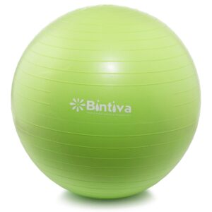 Anti-Burst Fitness Exercise Stability Yoga Ball/Swiss Gym Birthing Ball