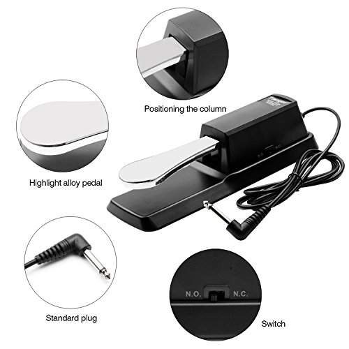 Sustain Pedal Universal Foot Damper for Digital Electronic Piano Keyboard, Flanger(Carbon Black, FTB-004)