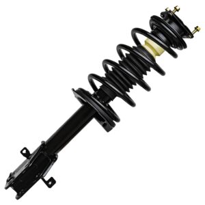 Detroit Axle - 2 Front Struts for 11-14 Ford Edge, 11-15 Lincoln MKX Complete 2 Struts with Coil Spring 2011 2012 2013 2014 Replacement Quick Install Ready Strut Shock Assembly