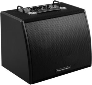 phil jones session 77 100w bass combo