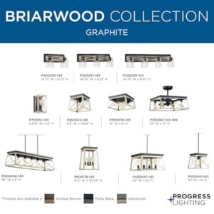 Briarwood Collection Whitewashed One-Light Farmhouse Flush Mount Ceiling Light