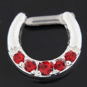 PiercingPoint Red Crystal Stone 5 Paved Round Stones 16 Gauge Clicker Septum Nose Ring Septum Jewelry