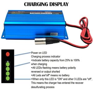 Unocho 24V Battery Charger Automatic Smart Battery Charger Maintainer 5A Trickle Charger with Alligator Clips for Charging AGM Gel Lead-Acid Batteries