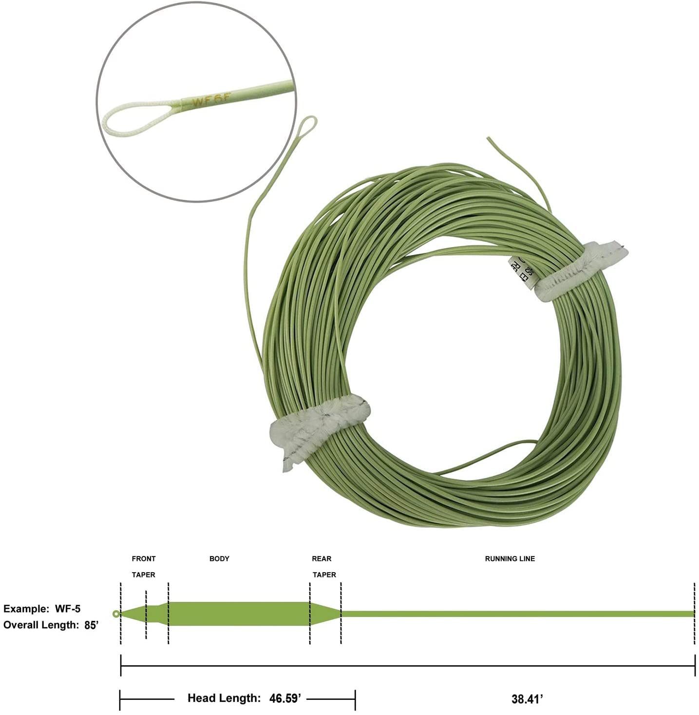 Aventik Trout Fly Fishing Line Weight Forward Floating Fly Line with Exposed Loop Easy Line ID(1pcs-Green,6F)