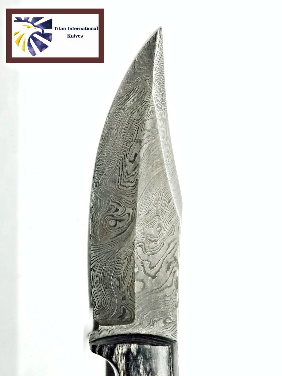 Titan International Knives Damascus Steel Hunting Knife