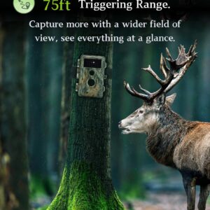 BLAZEVIDEO 2-Pack Game & Trail Camera 32MP 1296P MP4 Video No Glow Night Vision Motion Activated IP66 Waterproof 0.3 Trigger Speed for Hunting Wildlife & Home Surveillance