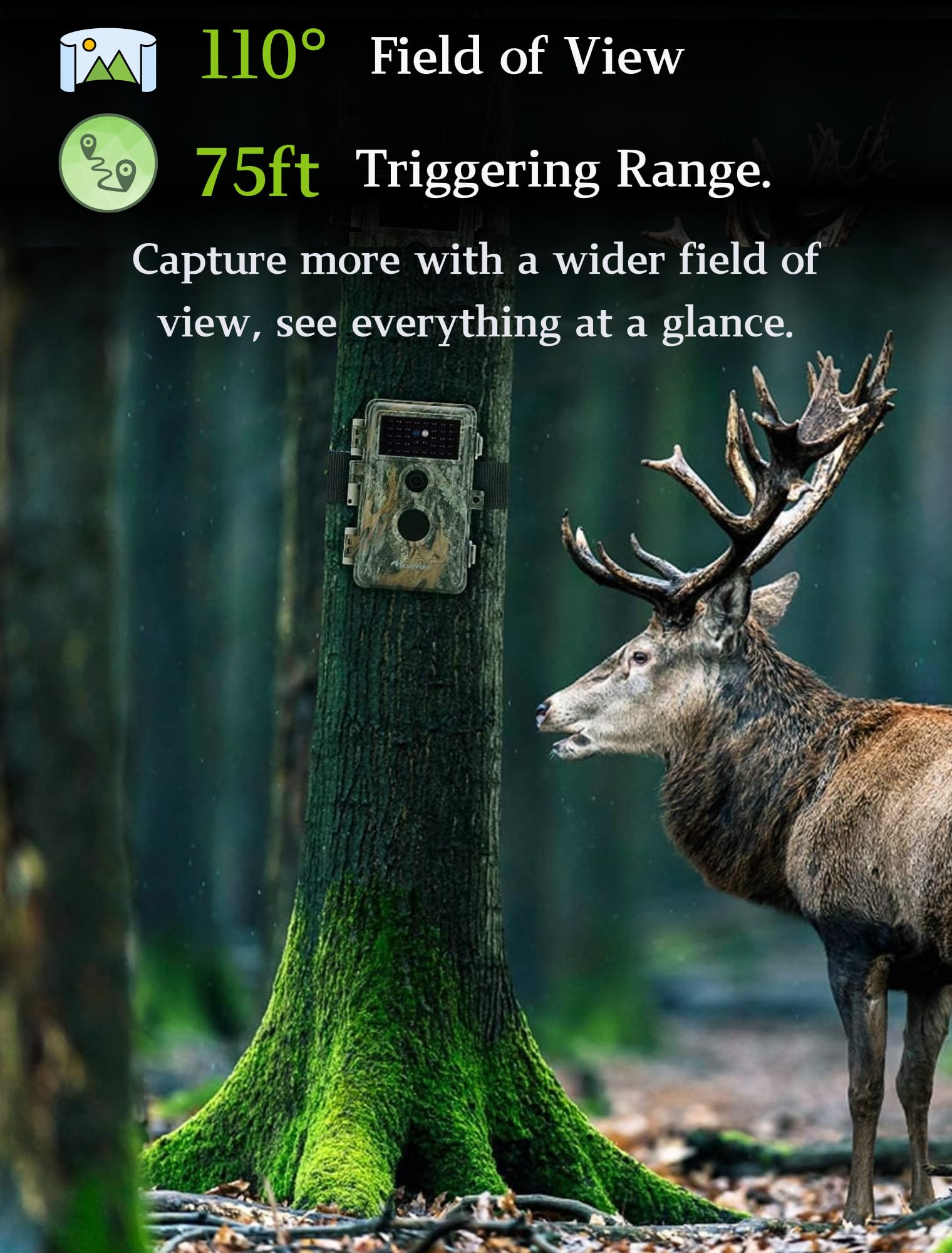 BLAZEVIDEO 2-Pack Game & Trail Camera 32MP 1296P MP4 Video No Glow Night Vision Motion Activated IP66 Waterproof 0.3 Trigger Speed for Hunting Wildlife & Home Surveillance