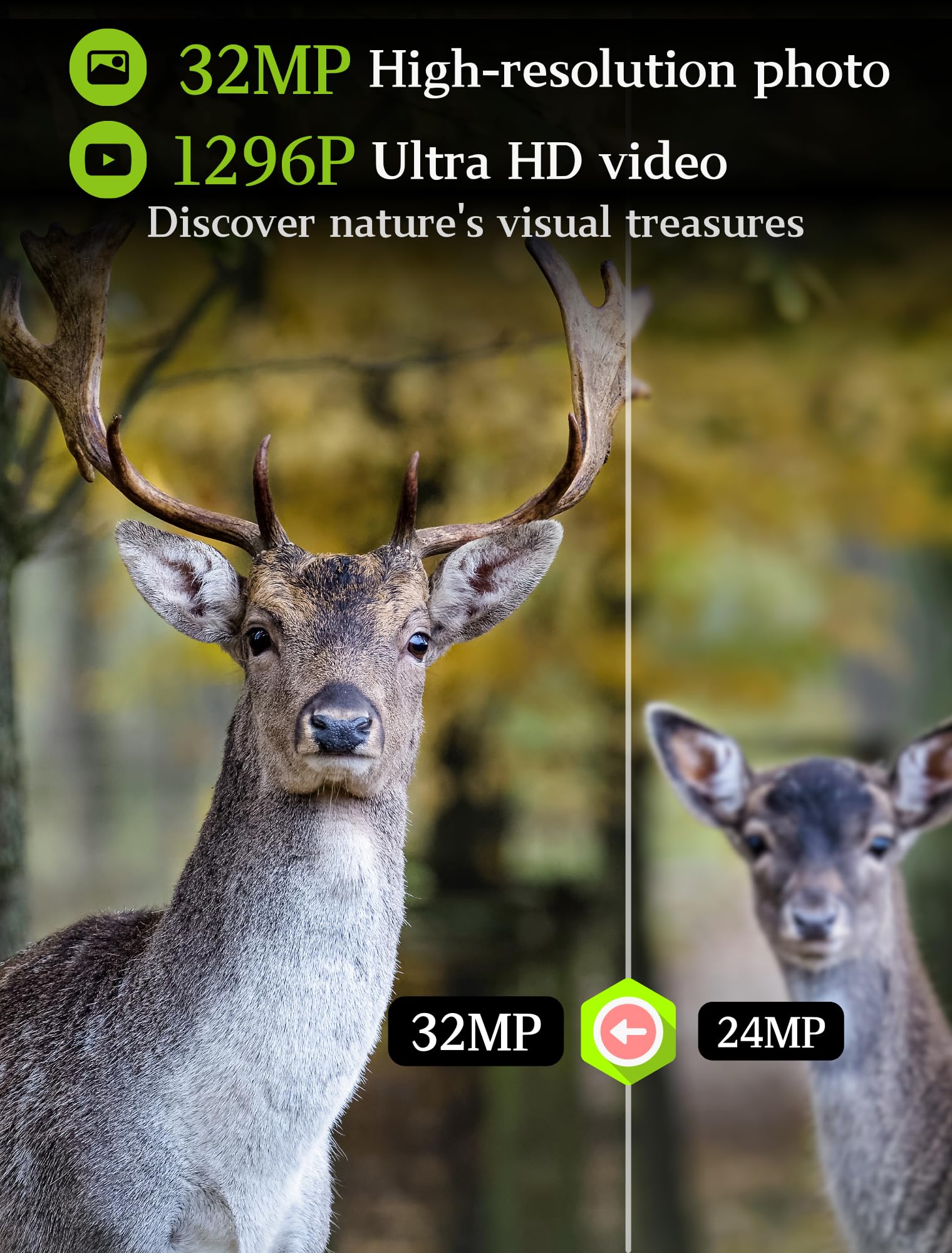 BLAZEVIDEO 2-Pack Game & Trail Camera 32MP 1296P MP4 Video No Glow Night Vision Motion Activated IP66 Waterproof 0.3 Trigger Speed for Hunting Wildlife & Home Surveillance