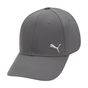 PUMA unisex adult Stretch Fit Baseball Cap, Gray/Silver, Large-X-Large US