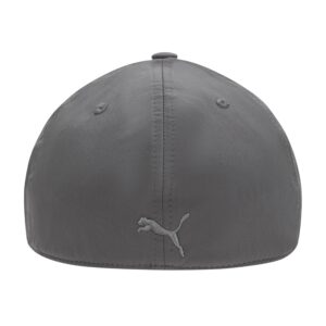 PUMA unisex adult Stretch Fit Baseball Cap, Gray/Silver, Large-X-Large US