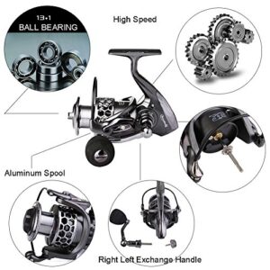 Sougayilang Fishing Reel 13+1BB Light Weight Ultra Smooth Aluminum Spinning Fishing Reel with Free Spare Graphite Spool (XY1000)