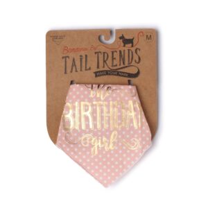 Tail Trends Happy Birthday Dog Bandana with The Birthday Girl Dog Bandana - 100% Cotton