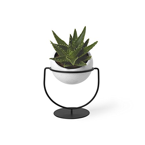 Umbra 1009251-748 Nesta, Table Top or Hanging Modern Planter, Ideal Succulent Plant Holder, White/Black,Single Planter