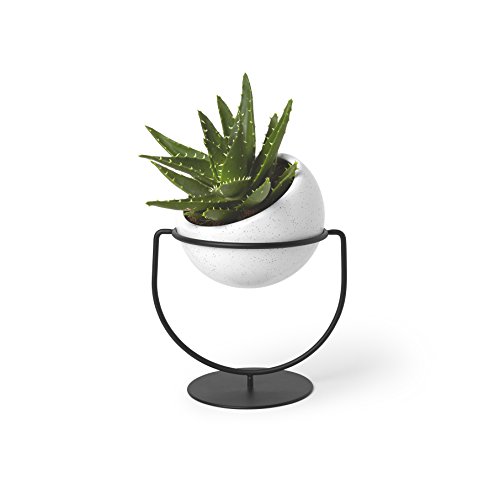 Umbra 1009251-748 Nesta, Table Top or Hanging Modern Planter, Ideal Succulent Plant Holder, White/Black,Single Planter