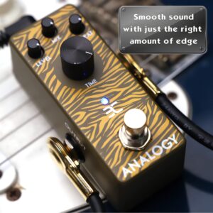 EX-Analogy Analog Delay Pedal