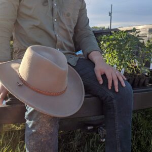 STETSON Sagebrush, Color: Mushroo, Size: M (OWSGBH-8134MUM0)