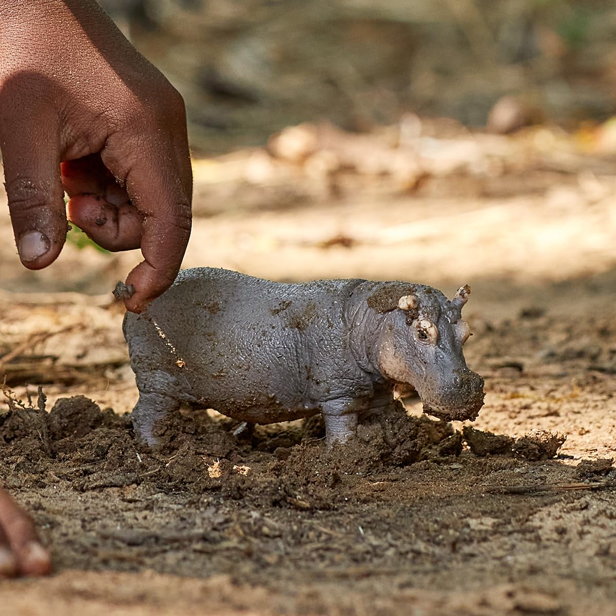 Schleich Wild Life Realistic Detailed Hippopotamus Figurine - Wild Hippo Figurine Toy for Play and Education, Highly Durable and Detailed, for Boys and Girls, Gift for Kids Ages 3+