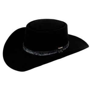 stetson men's revenger wool felt western hat black 7 3/4