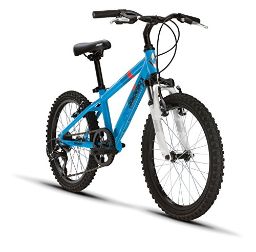 Diamondback Bicycles Octane 20 Youth 20" Wheel Mountain Bike, Blue