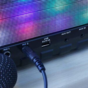 ION Audio Party Rocker Express, Bluetooth Speaker