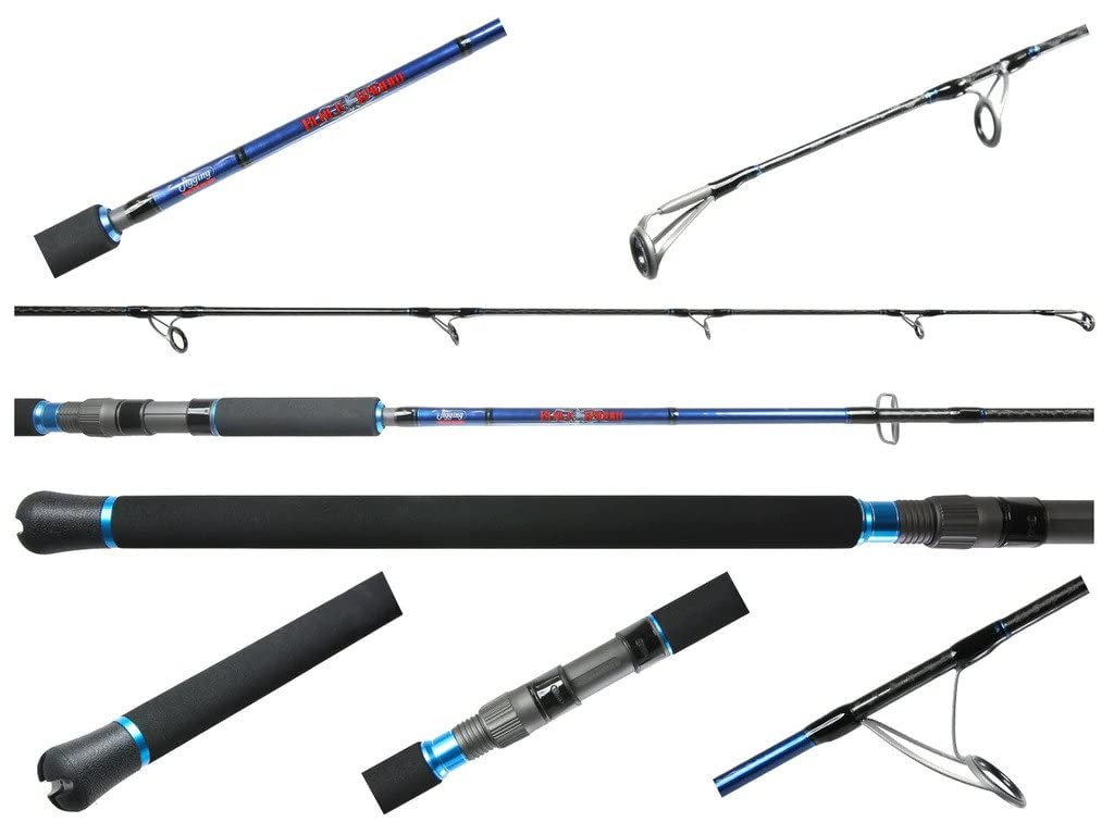 Jigging world Black Widow 300S Spinning 2-Piece Popping Rod