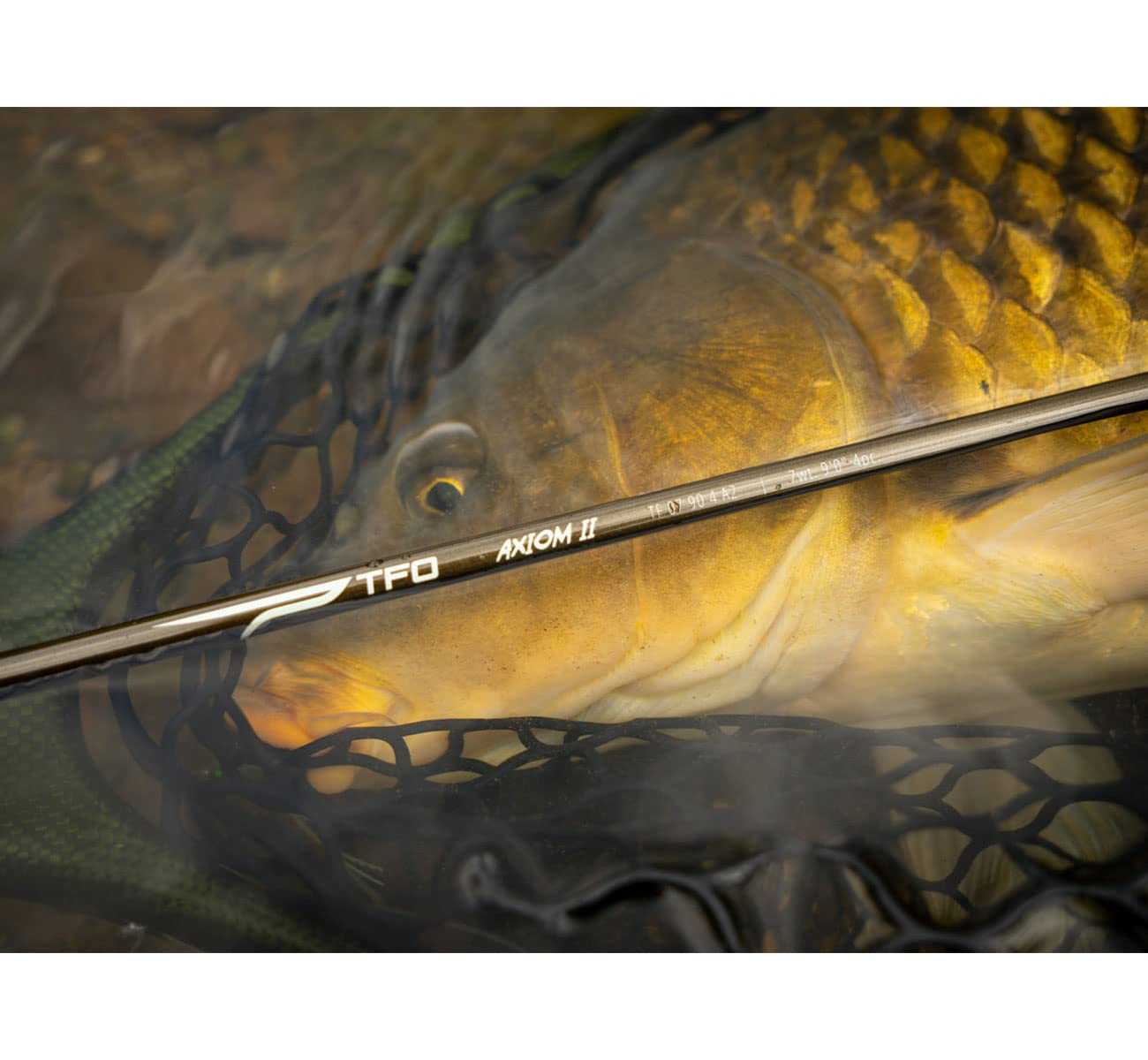 Temple Fork Outfitters Fast Action Freshwater Saltwater High Performance Cork Handle 4 Pieces 9'0" Axiom II Fly Fishing Rod with Case, 8 wt. 9'0"