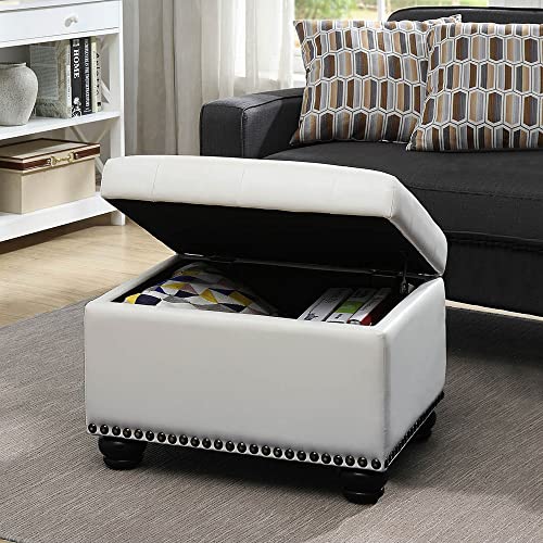 Convenience Concepts Designs4Comfort 5th Avenue Storage Ottoman, Ivory