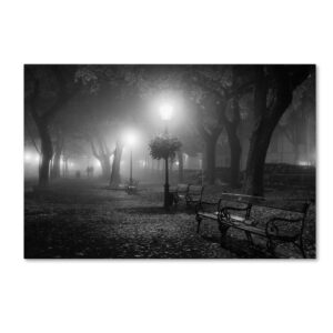 foggy day by ilias nikoloulis, 30x47-inch canvas wall art