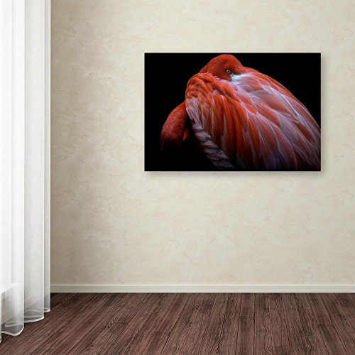 Shy by Ilias Nikoloulis, 12x19-Inch Canvas Wall Art