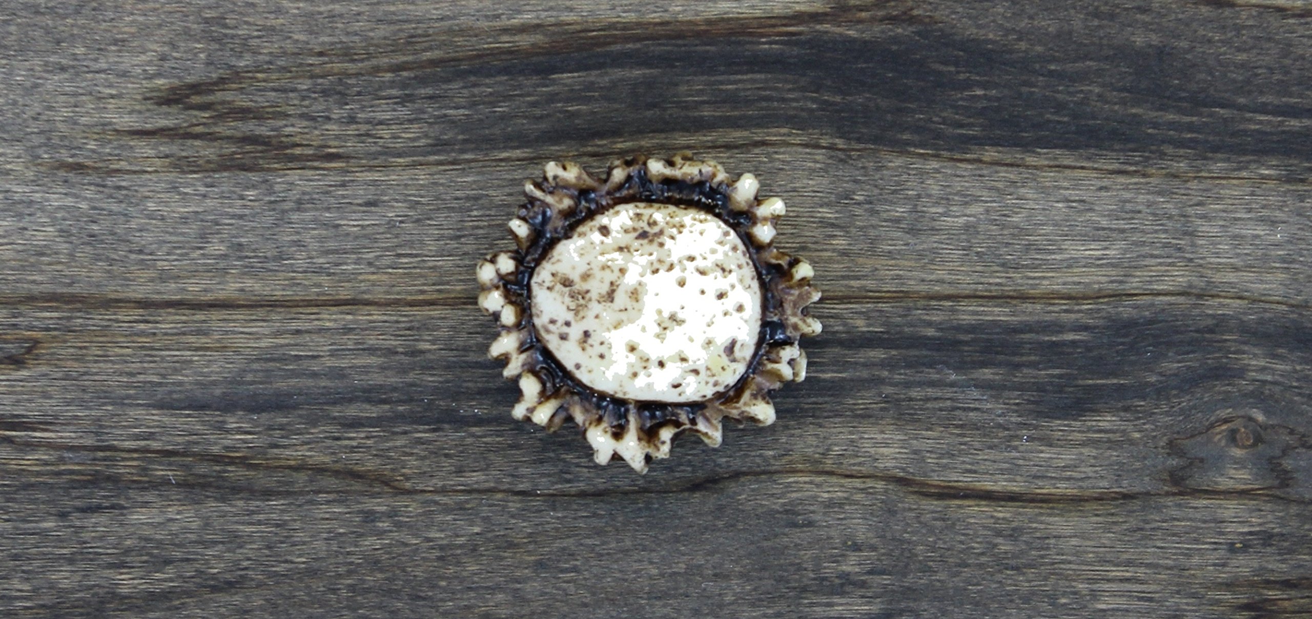 Old River Antler Drawer / Cabinet Knobs (4 Pack) - 2 Sizes of Screws and Washers Included