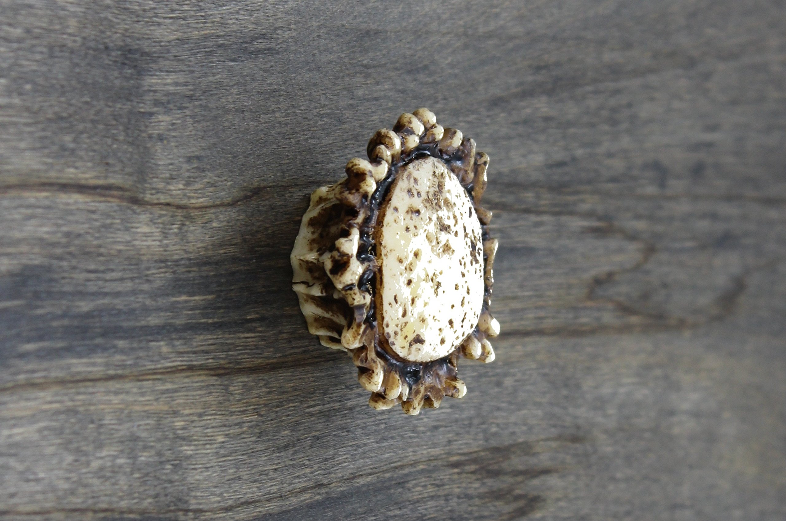 Old River Antler Drawer / Cabinet Knobs (4 Pack) - 2 Sizes of Screws and Washers Included