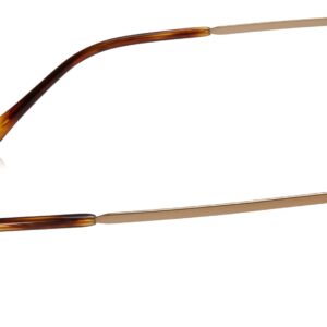 Polo Ralph Lauren Men's PH1179 Round Prescription Eyewear Frames, Shiny Dark Rose Gold/Demo Lens, 48 mm