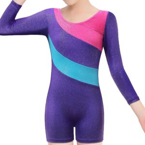 BAOHULU Toddlers Girls Gymnastics Dance Leotards-One-piece Sparkle Stripes & Stiching Athletic Clothes Purplelongsleeve 130(6-7Y)