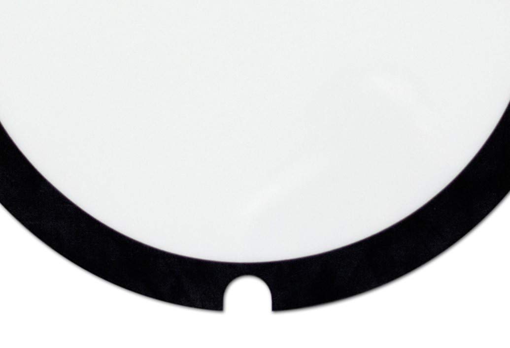 Big Fat Snare Drum Snare Drum Head (BFSD16)