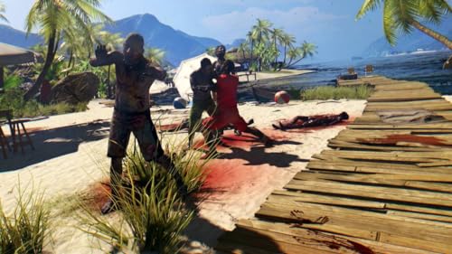 Dead Island Definitive Collection Edition (PS4)