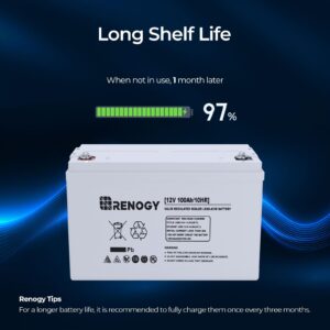 Renogy Deep Cycle AGM 12 Volt 100Ah Battery, 3% Self-Discharge Rate, 1100A Max Discharge Current, Safe Charge Appliances for RV, Camping, Cabin, Marine and Off-Grid System, Maintenance-Free