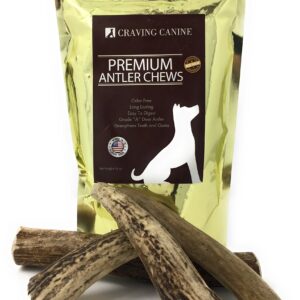 Craving Canine Grade A USA Deer Antlers for Dogs! Odorless, Split-Resistent Horns for Aggressive Chewers! Easy to Digest Antler for Healthy Joints! 1 lb