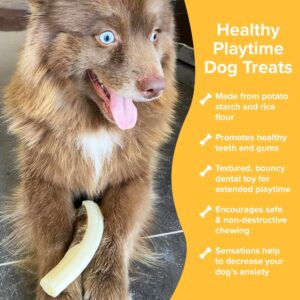 Spunky pup Snack & Chew Antler - Durable Nylon Dog Chew Toy with Embedded Beef-Flavored Treat, Promotes Dental Health - Antler Toy, Large