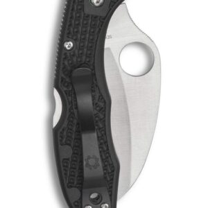 Spyderco Tasman Salt 2 Lightweight Knife with 2.91" H-1 Ultra-Corrosion-Resistant Steel Blade and Black FRN Handle - SpyderEdge - C106SBK2