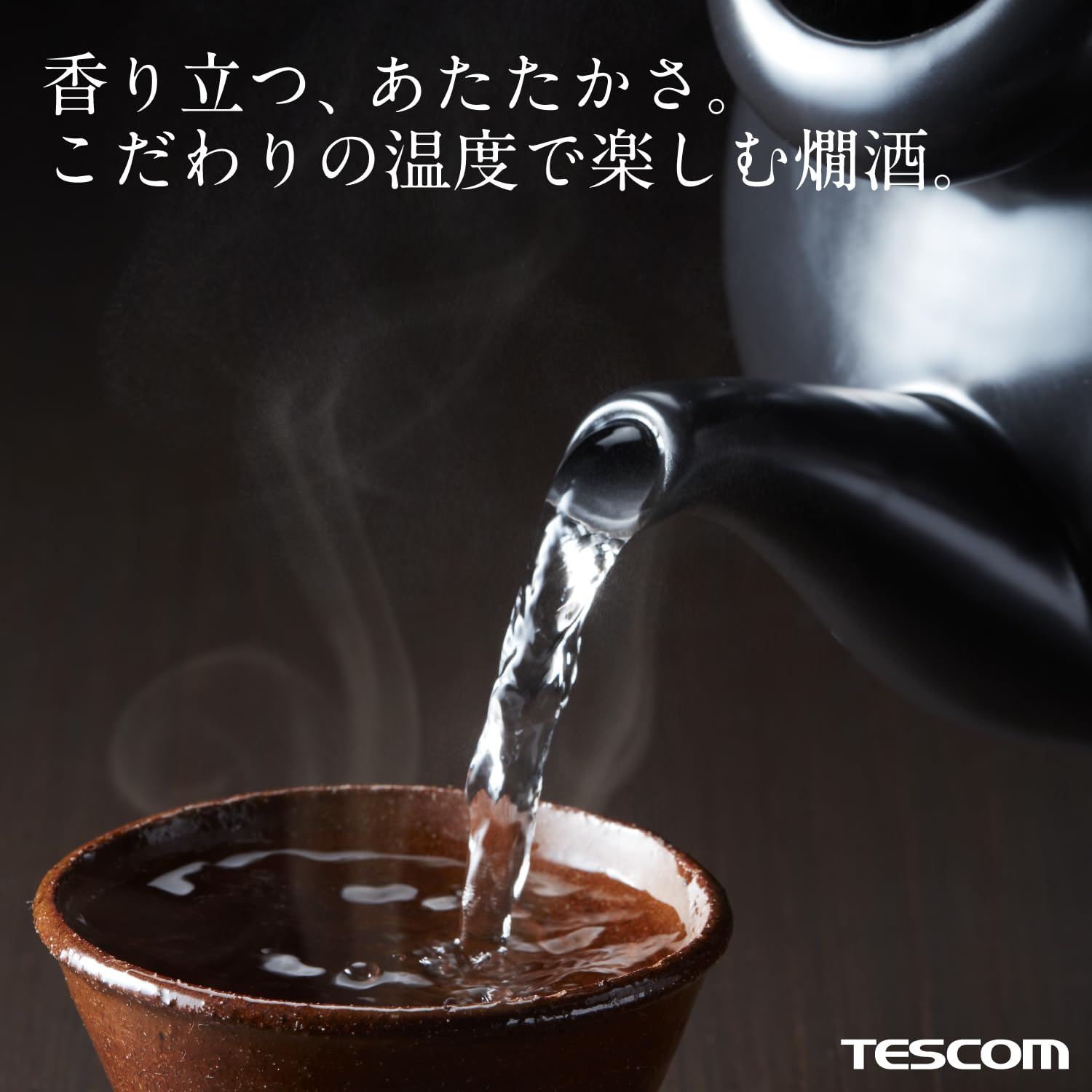 TESCOM"酒燗器 (Warmed SakeI Machine)" SK31【Japan Domestic genuine products】