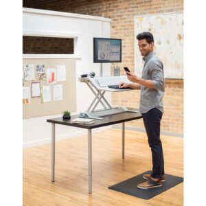 Fellowes Lotus DX Sit-Stand Workstation